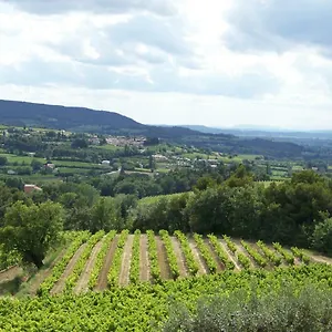En Provence Au Coeur Des Vignes Villedieu (Vaucluse)